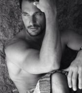 gandy